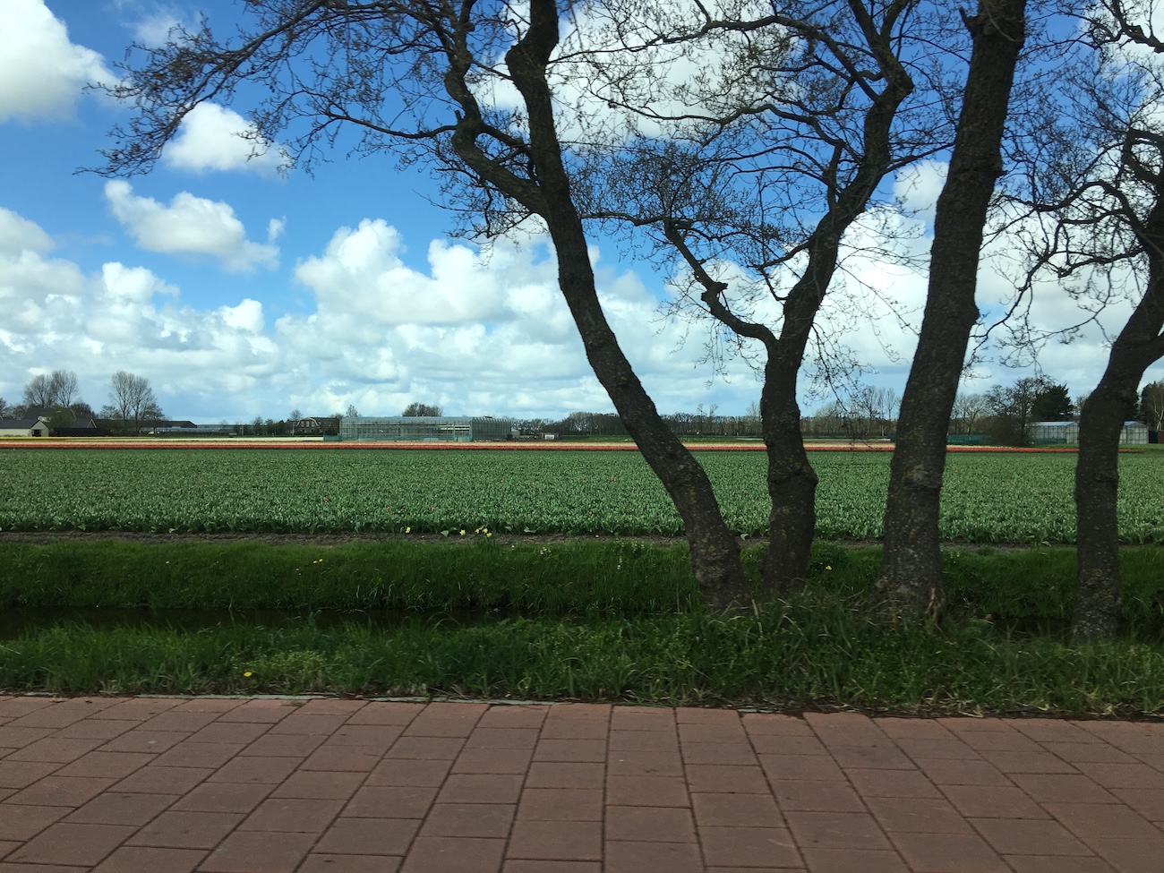 Espaço para andar de bicicleta ao lado da estrada