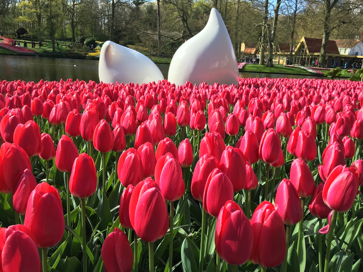 Keukenhof